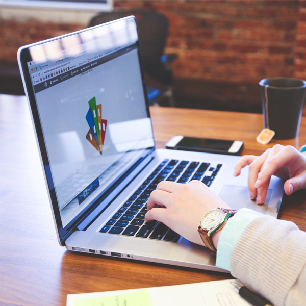 Business Analyst